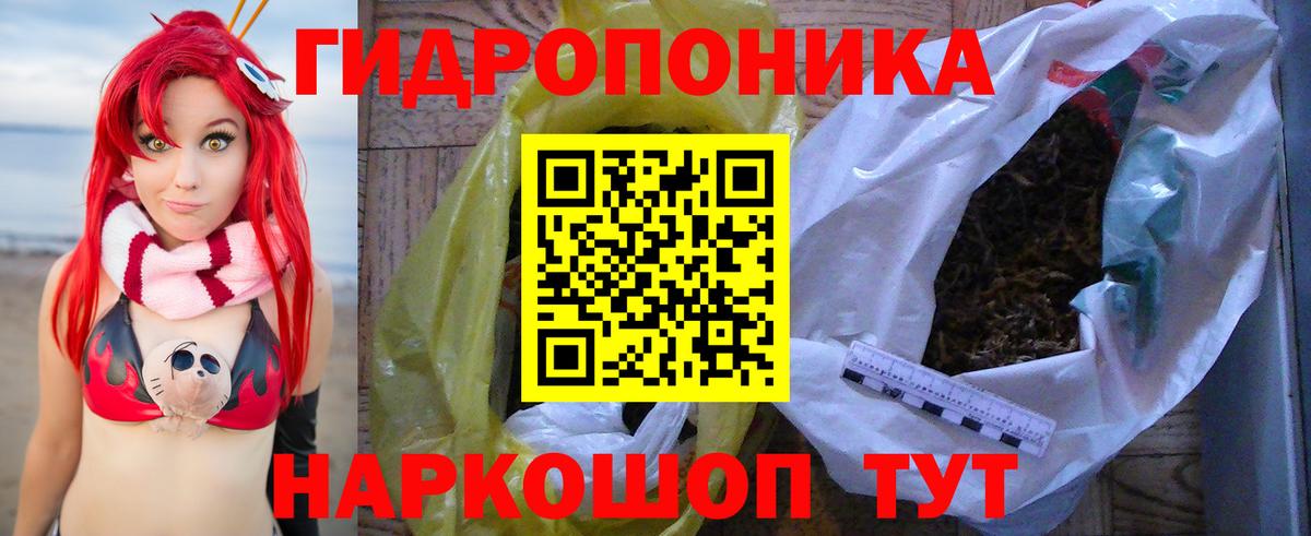 Бошки Шишки конопля Лабинск
